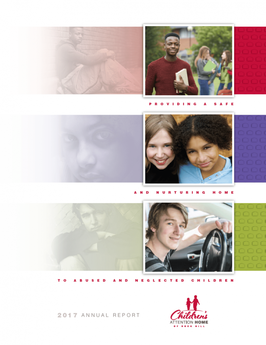 2017 Annual Report Cover